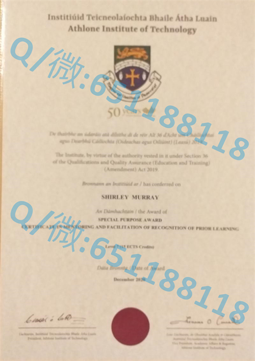 海伯尼亚国立大学毕业证文凭样本 (3)
