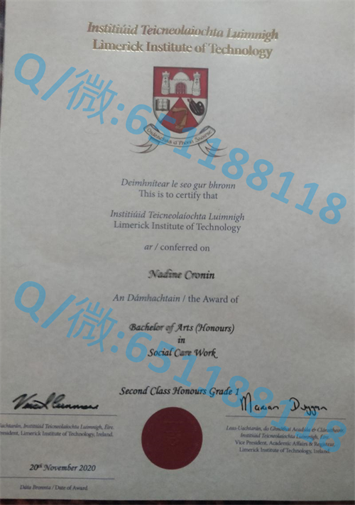 爱尔兰国立梅努斯大学毕业证文凭样本