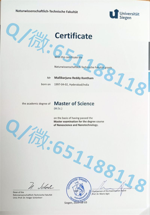 自学考文凭证书样本_惠州经济学院毕业季_柏林经济与法律学院毕业证文凭样本