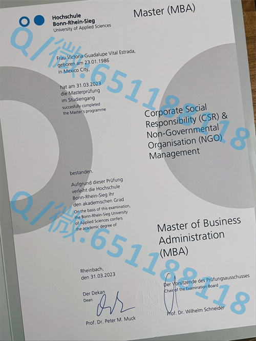埃尔朗根—纽伦堡大学毕业证文凭样本