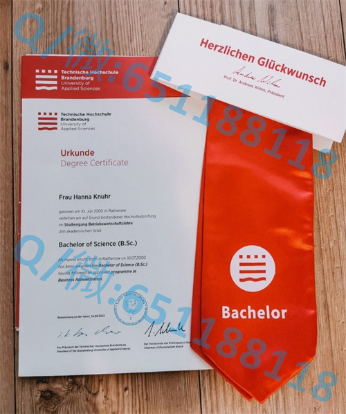杜伊斯堡—埃森大学毕业证文凭样本