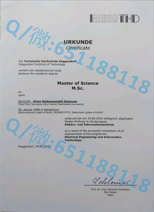 波恩大学毕业证文凭样本