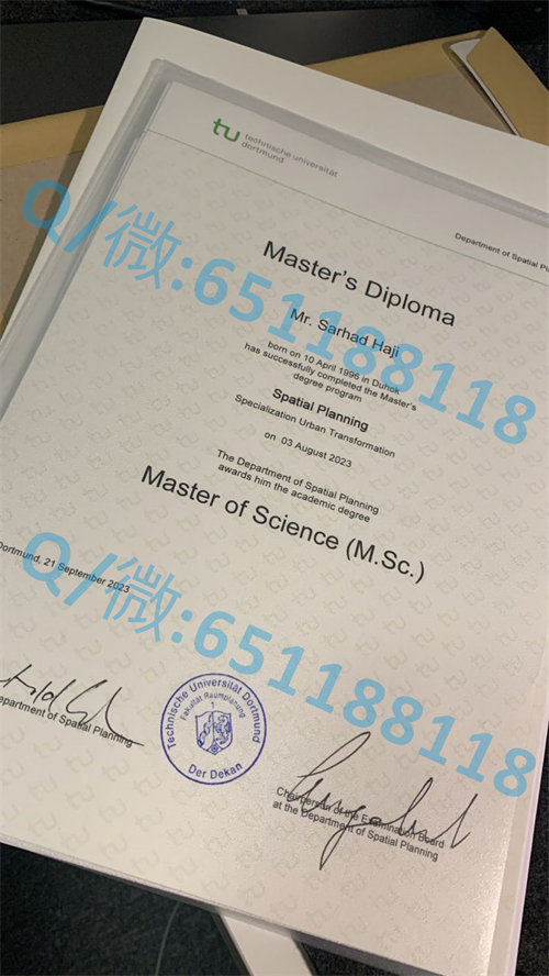 希尔德斯海姆大学毕业证文凭样本