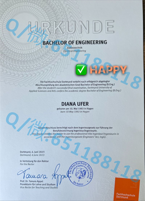 埃尔朗根—纽伦堡大学毕业证文凭样本_埃尔朗根—纽伦堡大学毕业证文凭样本_埃尔朗根—纽伦堡大学毕业证文凭样本