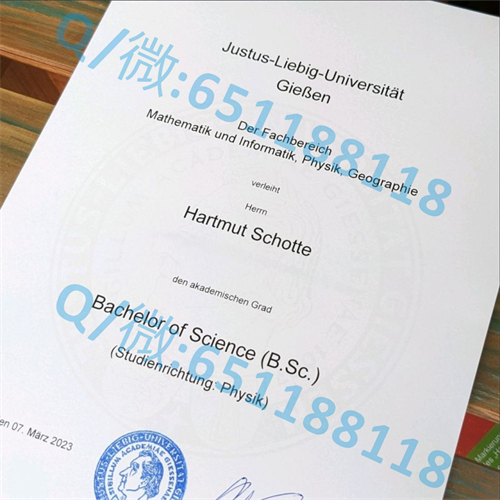 奥登堡大学毕业证文凭样本