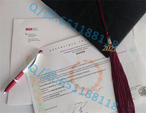 洛林大学毕业证文凭样本