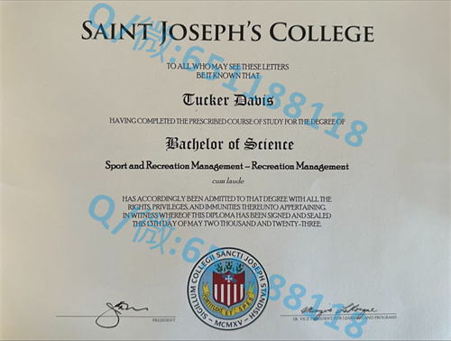 芝加哥圣路易斯大学_国家路易斯大学毕业证文凭样本(芝加哥)National-Louis University (Chicago)_国家路易斯大学毕业证文凭样本(芝加哥)National-Louis University (Chicago)