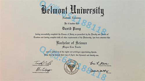 加州州立大学毕业证文凭样本斯史坦尼斯劳斯分校(特洛克)California State University - Stanislaus (Turlock)_副本