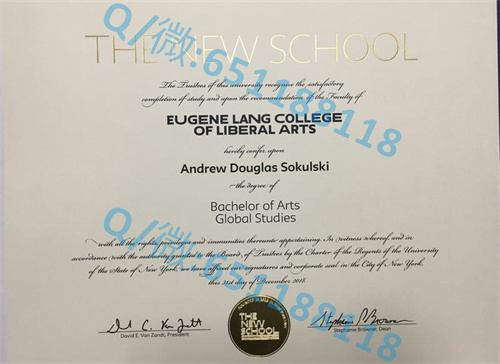 国家路易斯大学毕业证文凭样本(芝加哥)National-Louis University (Chicago)_芝加哥圣路易斯大学_国家路易斯大学毕业证文凭样本(芝加哥)National-Louis University (Chicago)