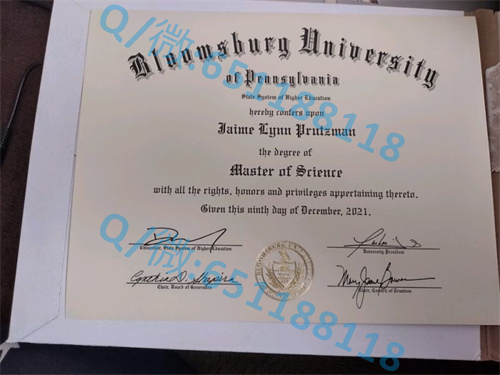 布兰代斯大学毕业证文凭样本