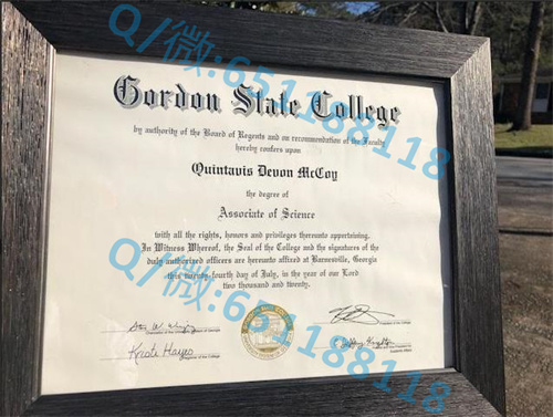 德福瑞大学毕业证文凭样本（欧克布鲁克特雷西）DeVry University (Oakbrook Terrace) (2)