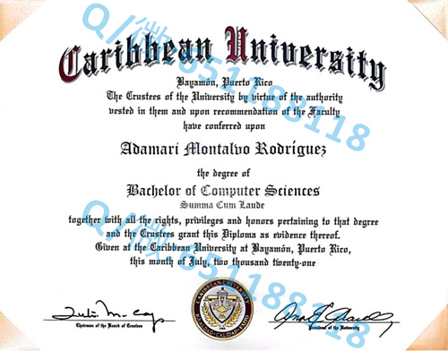 芝加哥路易斯大学_国家路易斯大学毕业证文凭样本(芝加哥)National-Louis University (Chicago)_副本_自考大专文凭样本