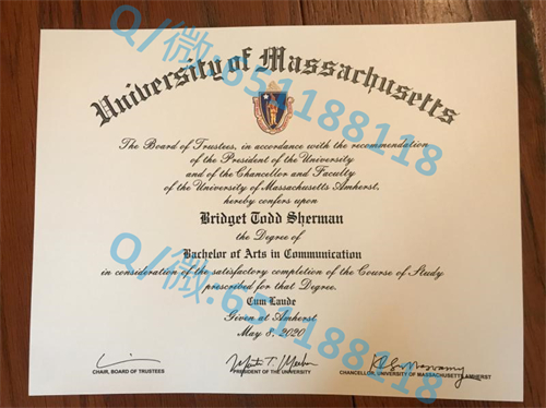 北卡罗莱纳农工州立大学毕业证文凭样本（格林斯波洛）North Carolina Agricultural and Technical State University (Greensboro)_副本