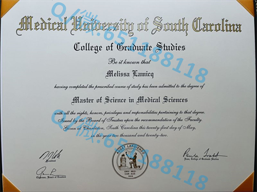 伊利诺斯大学毕业证文凭样本春田分校(春田)University of Illinois at Springfield (Springfield)_副本_伊利诺斯大学毕业证文凭样本春田分校(春田)University of Illinois at Springfield (Springfield)_副本_伊利诺斯大学毕业证文凭样本春田分校(春田)University of Illinois at Springfield (Springfield)_副本
