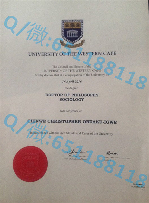 西开普大学毕业证文凭样本University of the Western Cape
