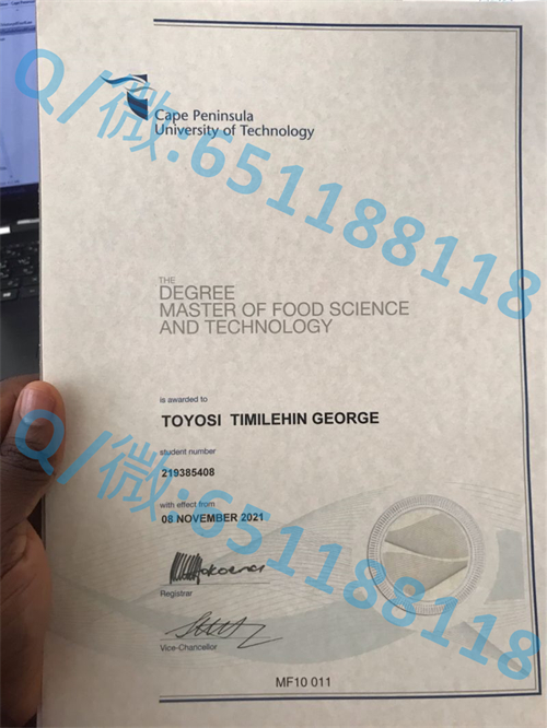 开普半岛科技大学毕业证文凭样本Cape Peninsula University of Technology