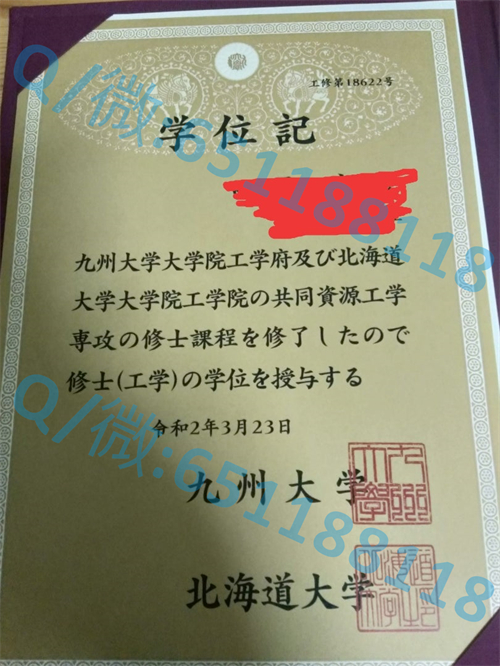 专升本文凭样本_武藏野大学毕业证文凭样本_成教文凭样本