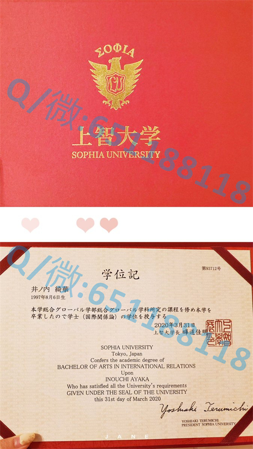 东京艺术大学毕业时间_东京文化艺术学院_东京艺术大学毕业证文凭样本Tokyo University of the Arts