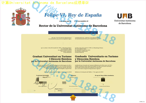 马德里卡洛斯三世大学毕业证文凭样本