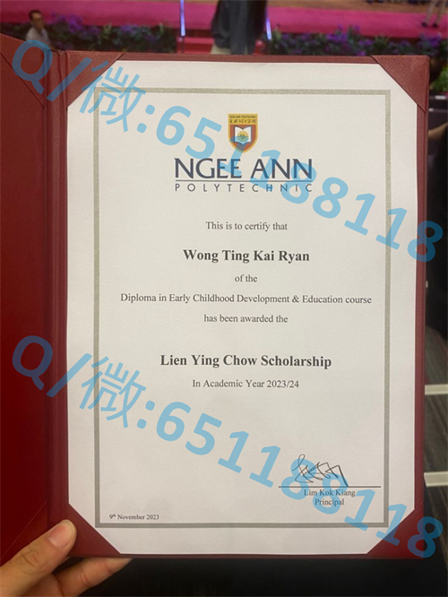 南洋理工学院毕业证文凭样本NanYang Polytechnic_本科南洋理工_南洋理工大学实验室