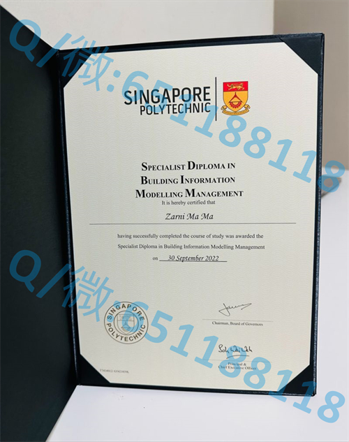 共和理工学院毕业证文凭样本Republic Polytechnic