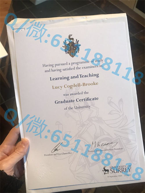 约克圣约翰大学毕业证文凭样本_约克圣约翰大学毕业证文凭样本_约克圣约翰大学毕业证文凭样本