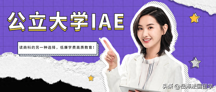 法国IAE排名揭晓：哪所IAE的毕业生最受欢迎？