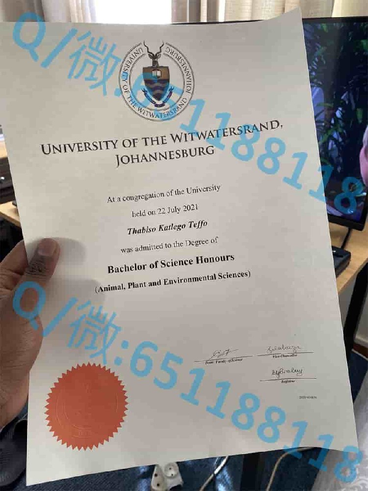 《探索世界顶尖大学的魅力：留学资讯与生活分享》