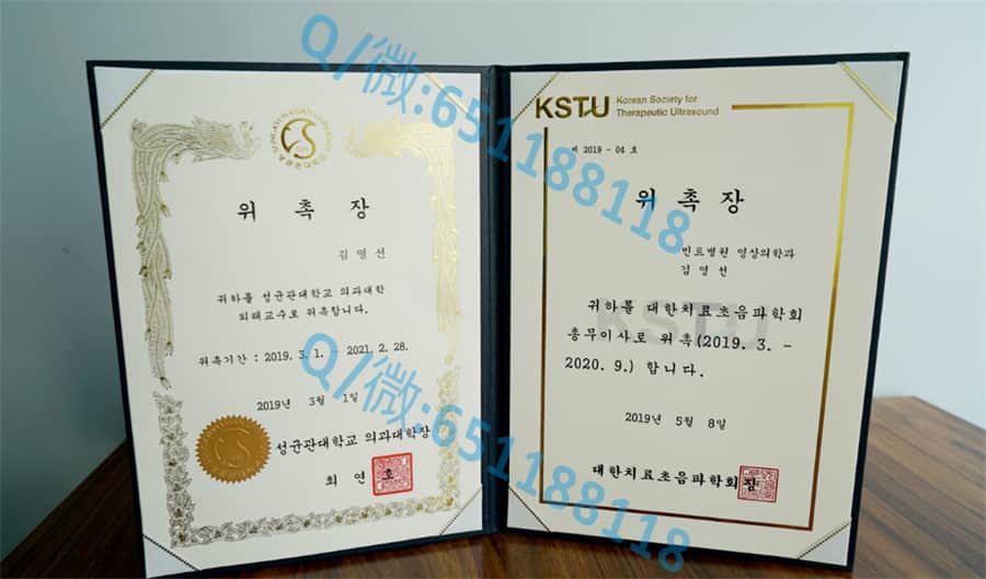 《探索全球顶级学府：留学背后的故事与启示》