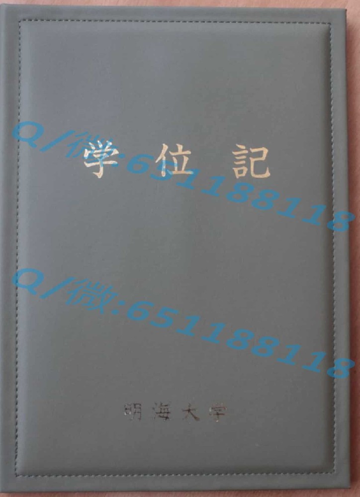 龙谷大学毕业证阿斯隆理工学院毕业证样本|文凭参考|学位证|学校概况