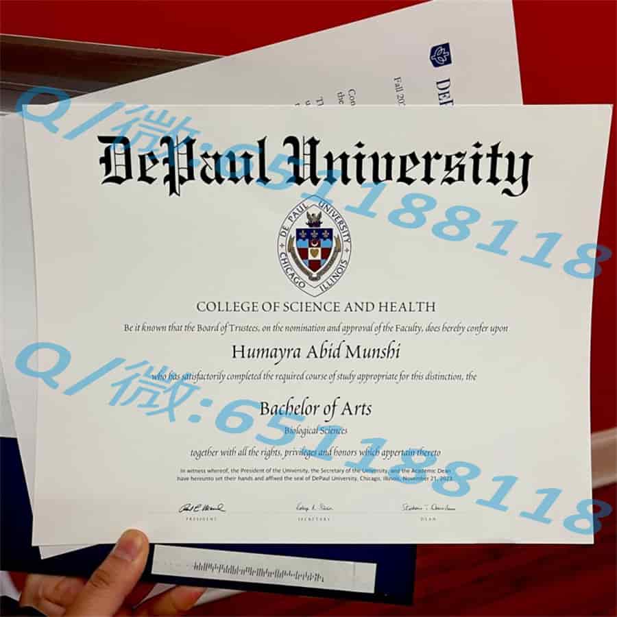 《柏林应用科学大学文凭优势解析：开启国际职业发展新篇章》