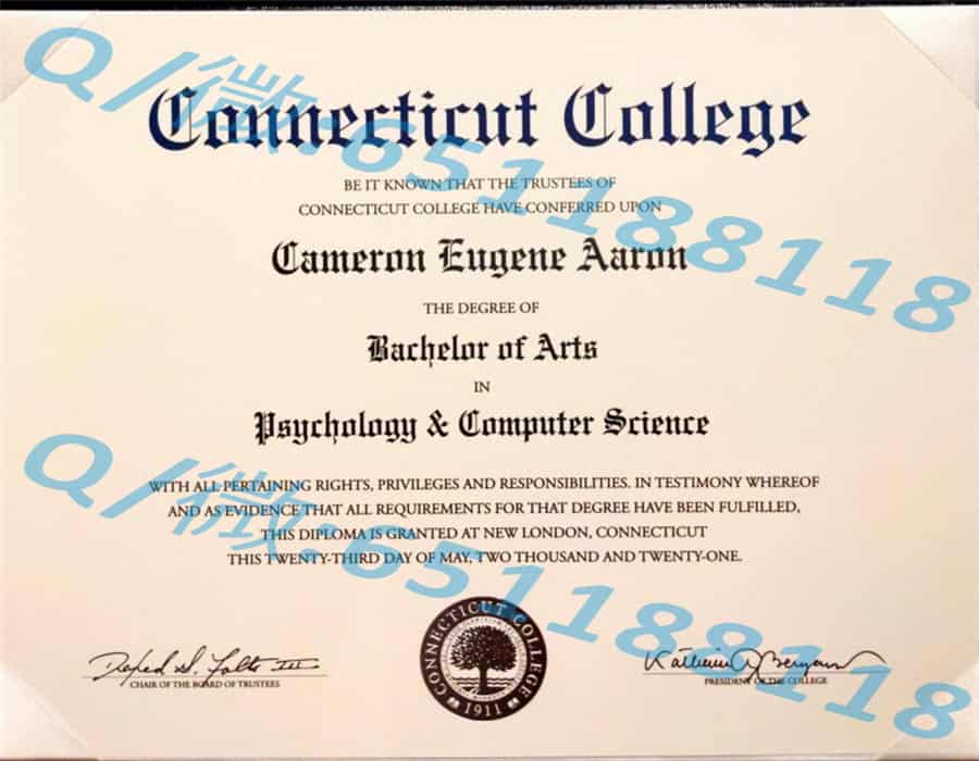 加州州立大学斯史坦尼斯劳斯分校(特洛克)California State University - Stanislaus (Turlock) 阿斯隆理工学院毕业证样本|文凭参考|学位证|学校概况