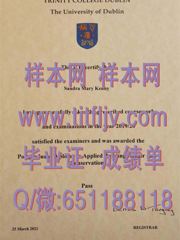 都柏林大学毕业证圣三一学院毕业证模版、文凭参考、学位证、成绩单图片.jpg