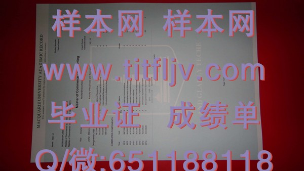 麦考瑞大学文凭：打开职业发展新篇章