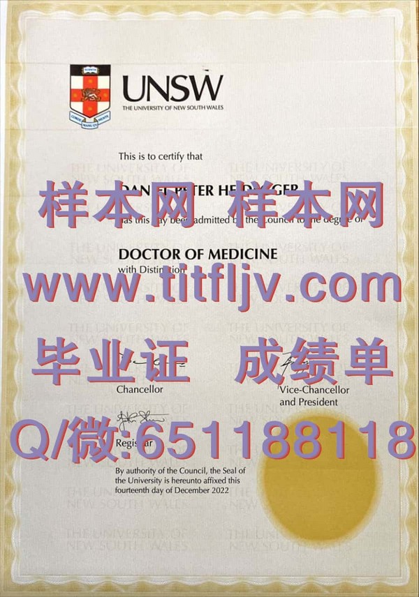 迈向国际舞台：新南威尔士大学文凭的全球认可