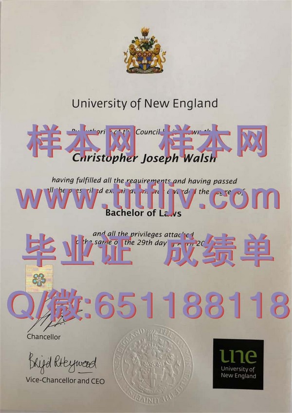 新英格兰大学文凭：聚焦行业需求，成就卓越