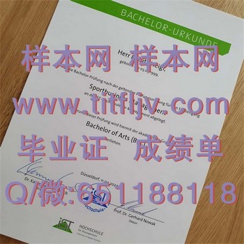 IST 管理大学毕业证模版、文凭参考、学位证、成绩单图片.jpg