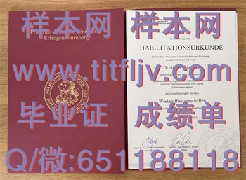 实用技能+国际认可：埃尔朗根—纽伦堡大学毕业证助力就业