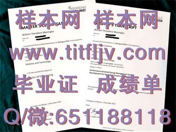 从埃斯林根应用技术大学毕业证到职业梦想：一步之遥