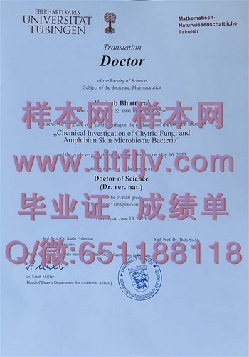 艾伯哈德·卡尔斯蒂宾根大学毕业证：掌握核心技能，赢在求职竞争中