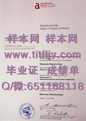 安哈尔特应用技术大学毕业证：成功职场首选，就业无忧