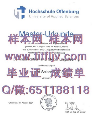 如何获得奥芬堡应用科技大学文凭？一网打尽解析
