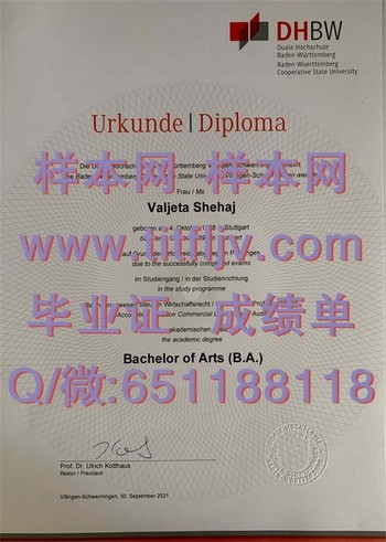 巴登符腾堡双元制应用技术大学毕业证：开启留学之旅，追求卓越