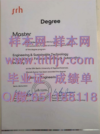 柏林工程应用技术大学毕业证：拥抱全球视野，闯荡职场