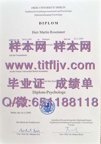 柏林自由大学文凭：实现个人价值的关键一步