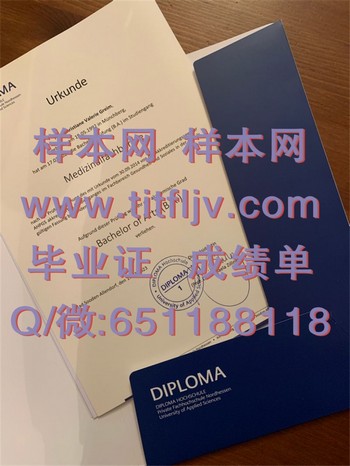 北豪森应用技术大学文凭：成就成功的关键要素