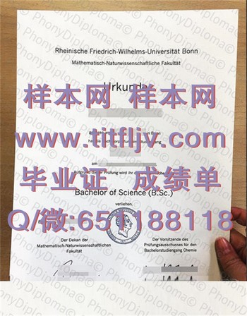 德国波恩大学文凭：与时俱进的教育品质