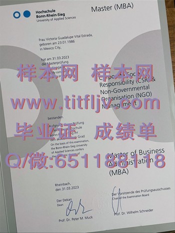波恩-莱茵-锡格应用技术大学文凭：开启全球机遇的钥匙