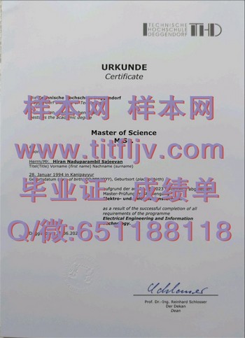 如何补办德根多夫技术大学丢失的毕业证？什么流程？