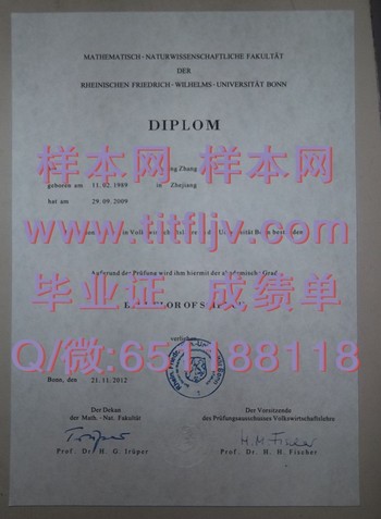 申请德国波恩大学毕业证的优势和注意事项，一文全知晓
